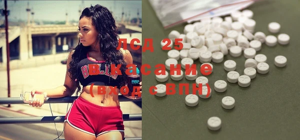 прущие грибы Рославль