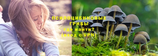 амфетамин Алексин