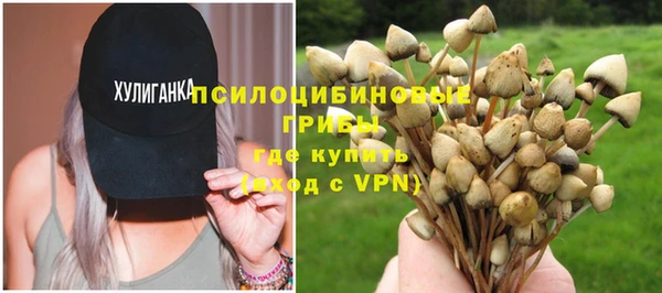 МДПВ Алзамай