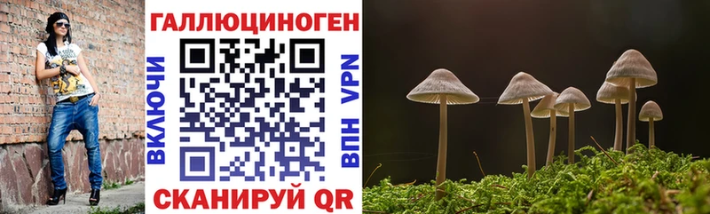 Псилоцибиновые грибы Psilocybe  купить наркотик  Сосенский 